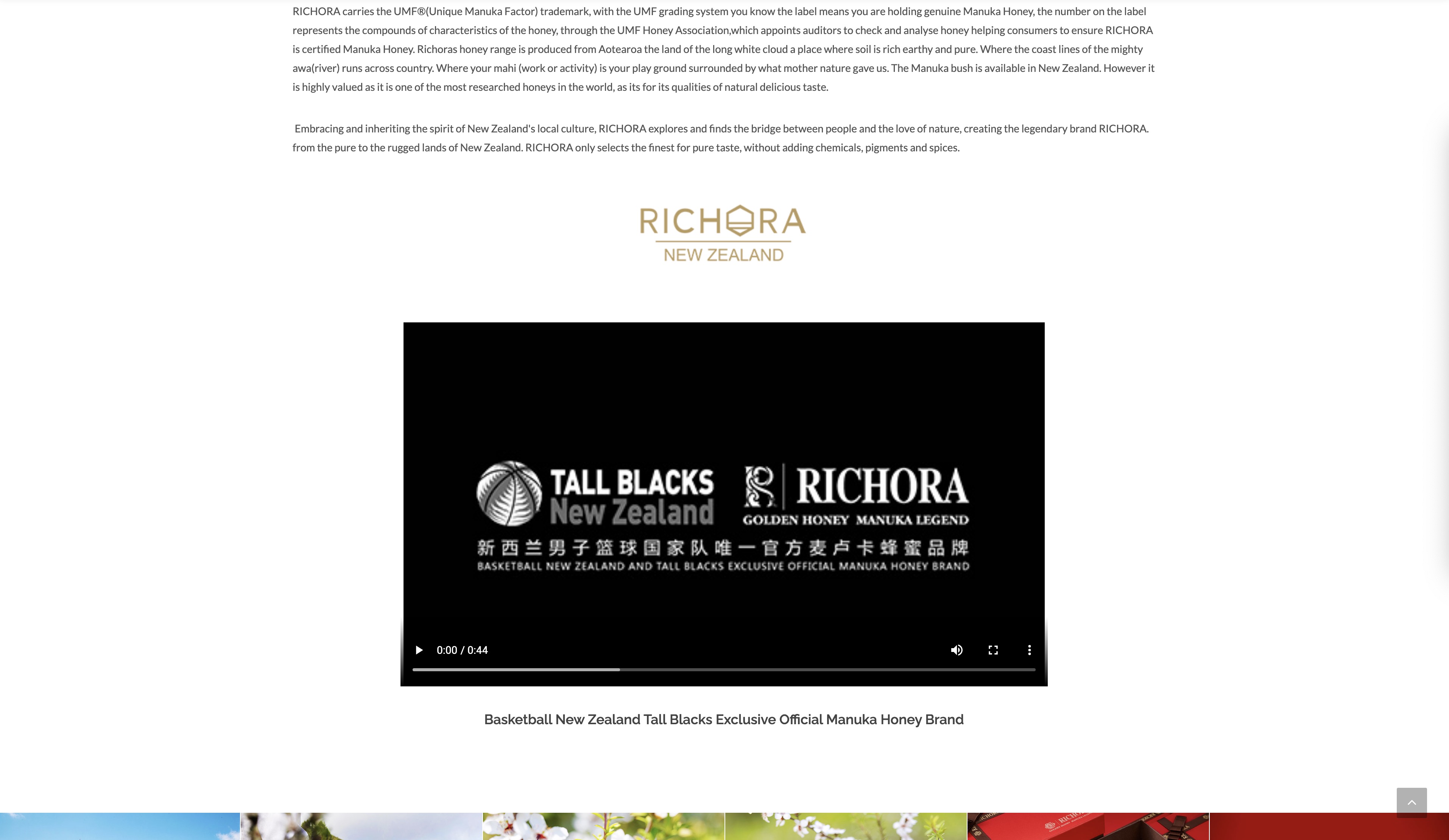 Richora selected work 9